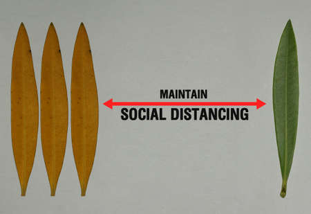 Social distancing idea or example for prevention of Corona virusの写真素材