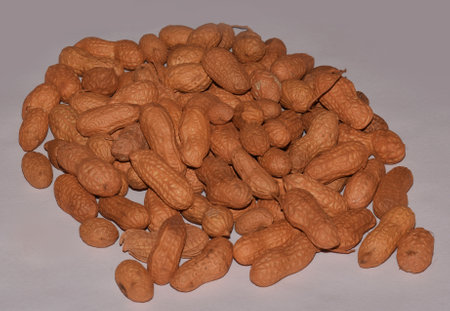 Peanuts or groundnuts or nuts in shell isolated on light grey background.  Also known as Moongfali  in Hindi Languageの写真素材