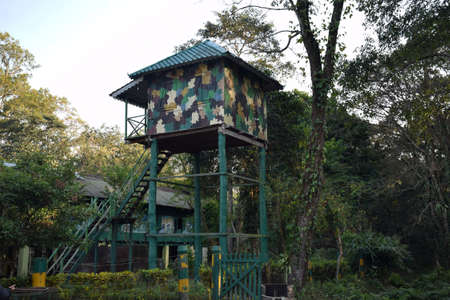 A wooden watch tower in the middle of a jungleの写真素材