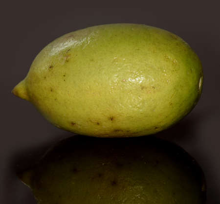 Oval shaped Bengali lime or gondhoraj lebu in Bangla Languageの写真素材