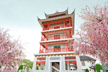 Chinese Building and Sakura Flowersの写真素材
