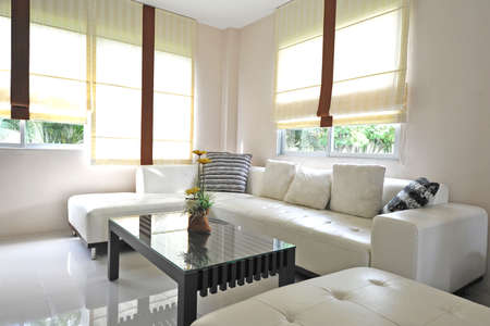 Living Room in modern interior Home