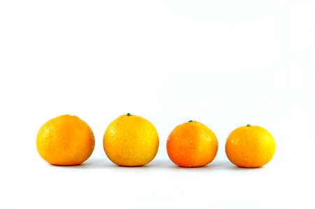 Oranges on white backgroundの写真素材