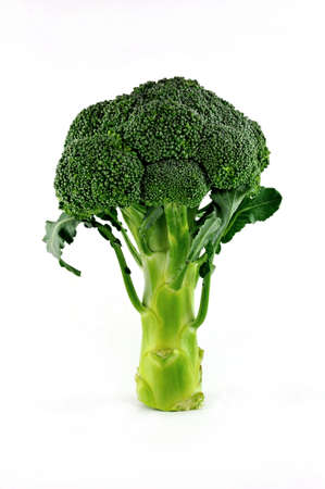 Cabbage on white backgroundの写真素材