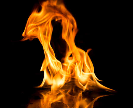 Burning fire on black background.の写真素材