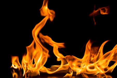 Burning fire on black background.