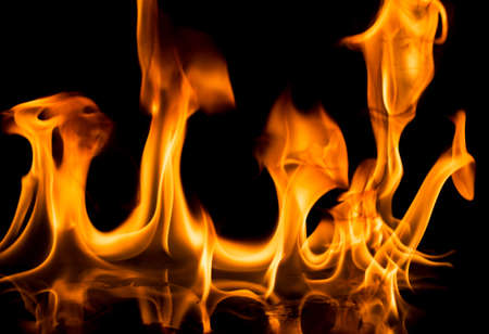 Burning fire on black background.