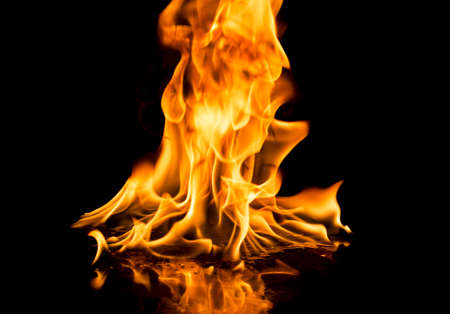 Burning fire on black background.の写真素材