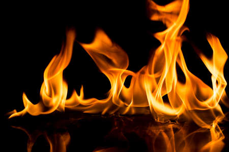 Burning fire on black background.の写真素材