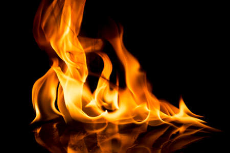Burning fire on black background.の写真素材