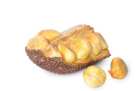 Jackfruit or campedak isolated on white background