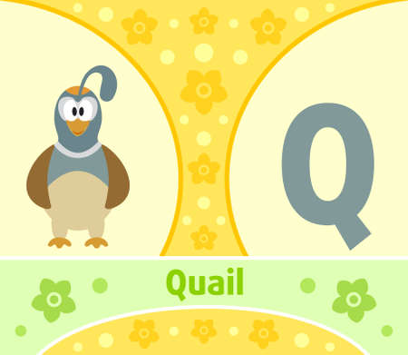 The English alphabet  with Quailのイラスト素材