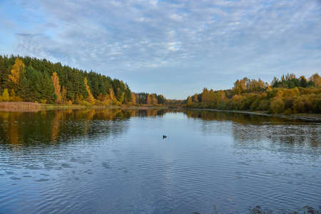 Beautiful reflection in lake in autumn. High quality