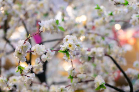 Artificial flowers under artificial lighting in the mallの写真素材