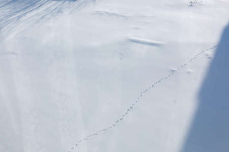 View from the window on footprints in the snow