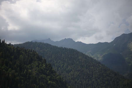 View of very beautiful mountains in summer