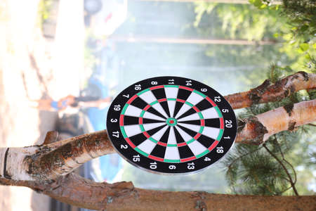 Photo of a dart board hanging from a tree