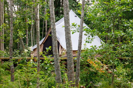 Photo of glamping in the forest in summerの写真素材