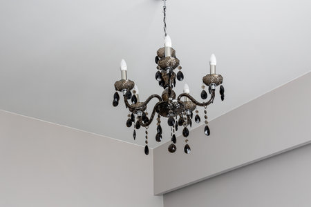 Interesting luxury designer apartment for daily rentの写真素材