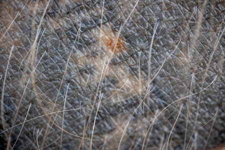 Close up of tattoo on human skinの写真素材