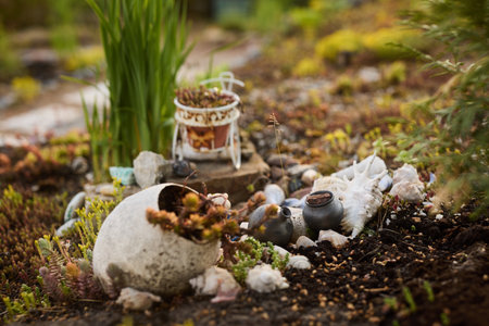 Discover a Serene and Aesthetic Garden Decor Featuring Beautiful Succulents and Natural Elementsの写真素材