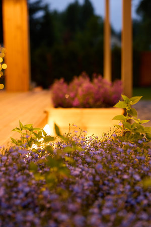 A Serene and Beautiful Evening Garden Featuring Vibrant Flowers with Soft Lightingの写真素材