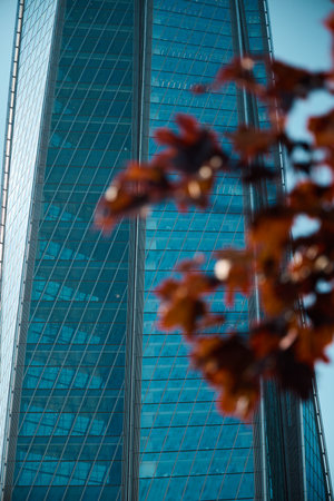 A modern skyscrapers reflection is visible in a serene setting with autumn leaves