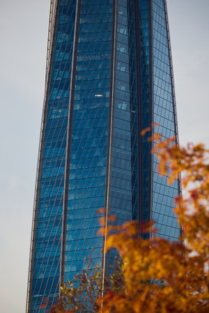 A modern skyscraper beautifully framed by vibrant autumn foliage creating a stunning scene