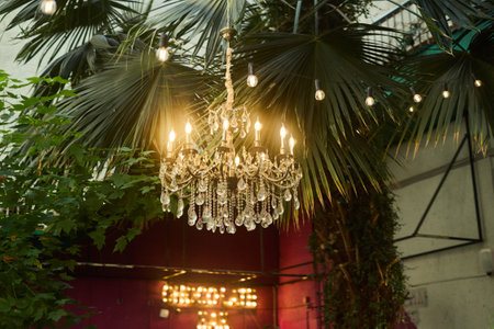 An Elegant Chandelier Beautifully Suspended Amidst Lush Greenery with Stunning Ambient Lightingの写真素材