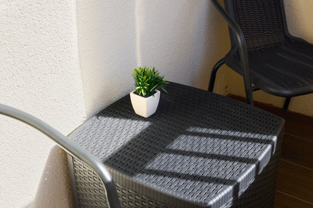 Stylish Outdoor Space with Plants and various Chairs for comfort and decorationの写真素材