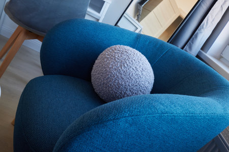 A Modern Armchair Featuring a Cozy Circular Cushion Set in a Delightfully Stylish Interiorの写真素材