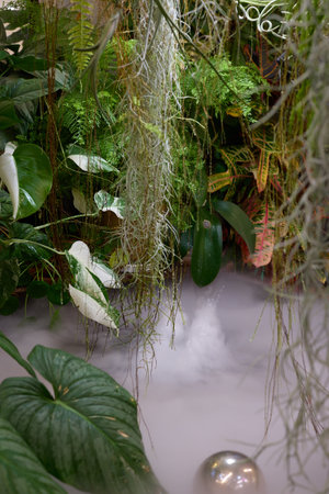 A Serene and Tranquil Botanical Oasis Featuring Mist and Beautiful Decorative Elements