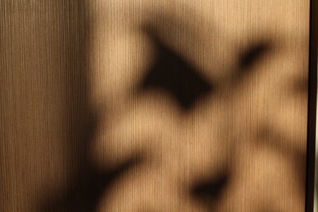 Exploring Abstract Shadow Play on a Textured Background Filled with Depth and Artistic Flairの写真素材