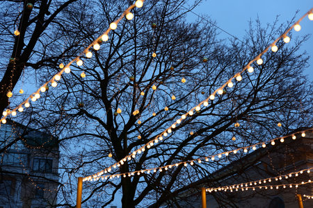 A Beautifully Illuminated Evening Scene Featuring Trees Decorated with String Lights