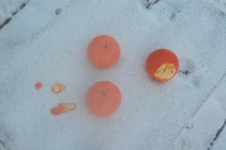 Bright oranges on a snowcovered surface create a stunning, eyecatching visual effectの写真素材