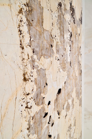 An Elegant Marble Surface Featuring Unique Patterns and Distinctive Aesthetic Touchesの写真素材