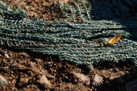 A CloseUp View of Green Garden Netting Spread Out on Soil