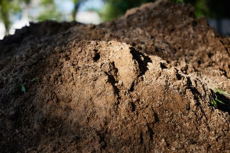 A Pile of Rich Soil Exhibiting Natural Light Ideal for Gardening or Landscaping Usageの写真素材