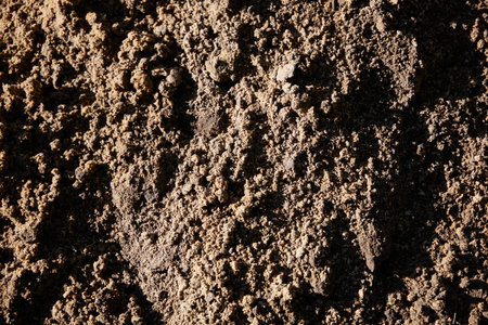 Detailed CloseUp View of Earthy Soil Texture for Use in Agricultural and Environmental Applicationsの写真素材
