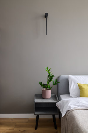 A beautifully modern bedroom setup featuring a lovely plant and a minimalist design aestheticの写真素材