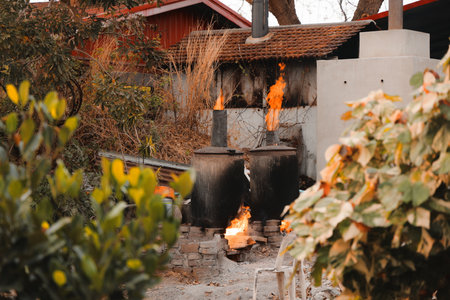 The Traditional Cooking Process utilizing Natural Flames and Surrounding Greenery for Foodの写真素材