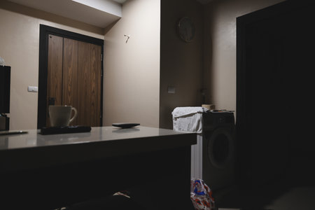 A beautifully lit modern kitchen and laundry space, ideal for a chic and functional home