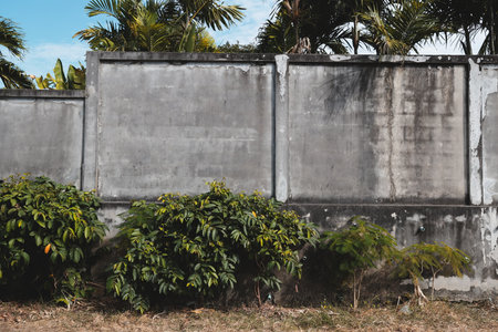A textured concrete wall is surrounded by lush greenery and stunning natural beautyの写真素材