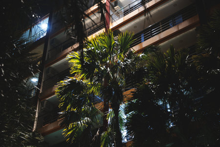 Beautifully Illuminated Urban Nightscape Filled with Lush Greenery and Vibrant Colorsの写真素材