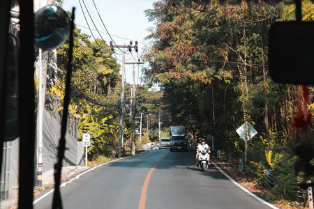 A Scenic Road That Wends Its Way Through Beautiful Lush Greenery and Majestic Treesの写真素材