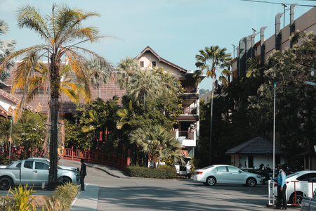 The Tropical Resort Entrance, adorned with lush Palm Trees and various Vehicles, invites guests inの写真素材