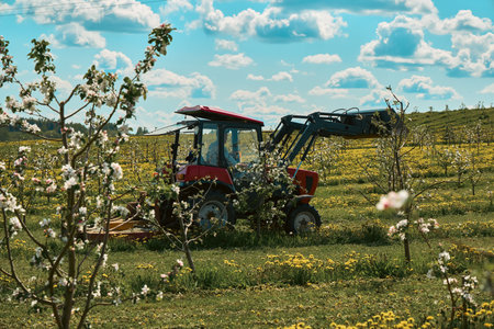A Tractor is Working Diligently in a Blooming Orchard Beneath a Clear Blue Sky Aboveの写真素材
