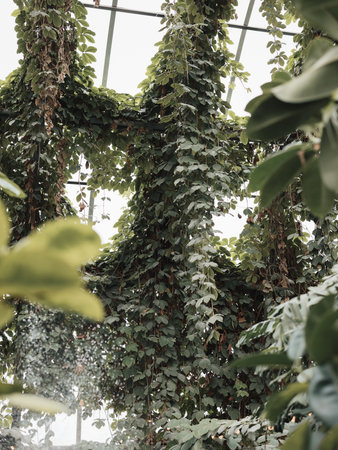 The Lush Greenery Found in a Beautiful and Modern Conservatory of Botanical Delightsの写真素材