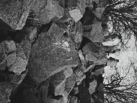 Artistic representation of an abstract rocky terrain combined with various natural elementsの写真素材