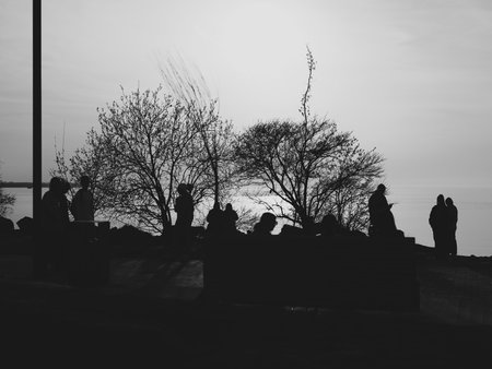 Silhouettes Against a Dusk Skyline, where beauty meets artistic exploration and emotion,の写真素材